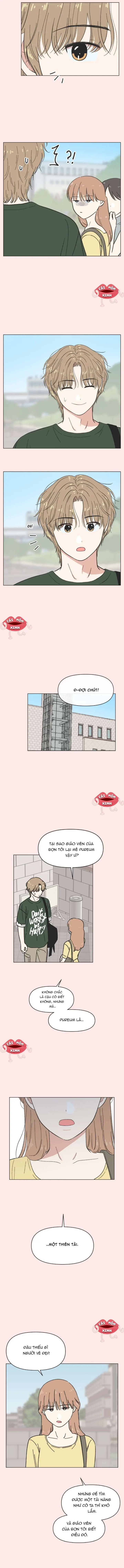 Thanh Xuân Đáng Yêu Chapter 39 - Trang 3
