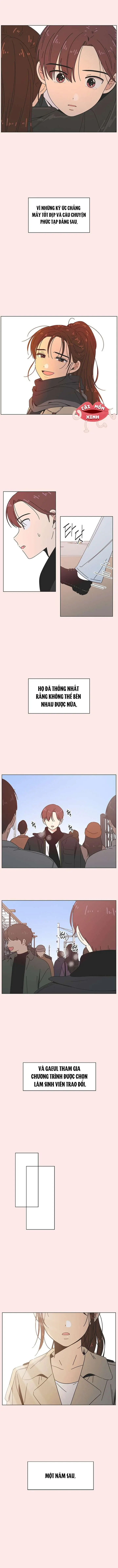 Thanh Xuân Đáng Yêu Chapter 42 - Trang 3