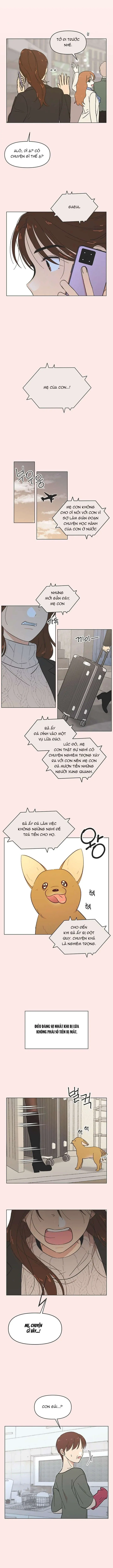 Thanh Xuân Đáng Yêu Chapter 49 - Trang 7