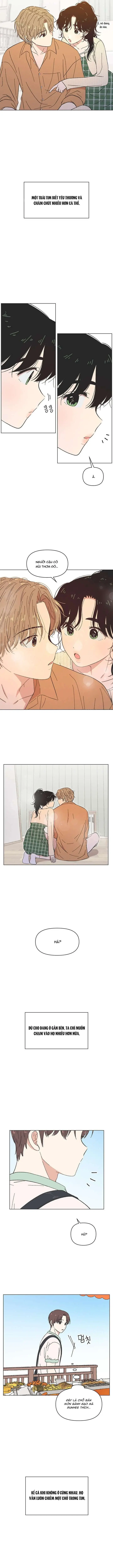 Thanh Xuân Đáng Yêu Chapter 60 - Trang 4