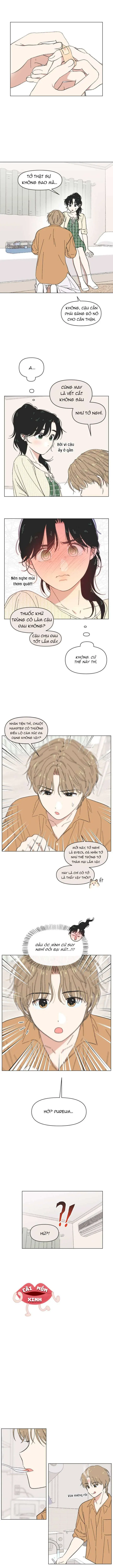 Thanh Xuân Đáng Yêu Chapter 61 - Trang 5