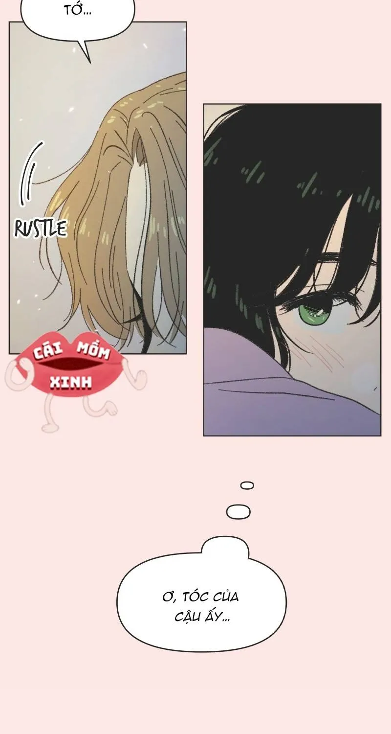 Thanh Xuân Ngọt Ngào Chapter 10 - Trang 19