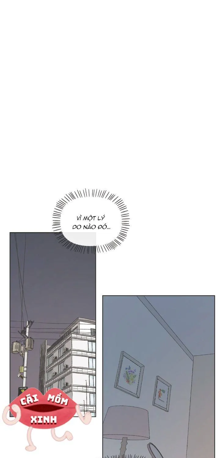 Thanh Xuân Ngọt Ngào Chapter 11 - Trang 2