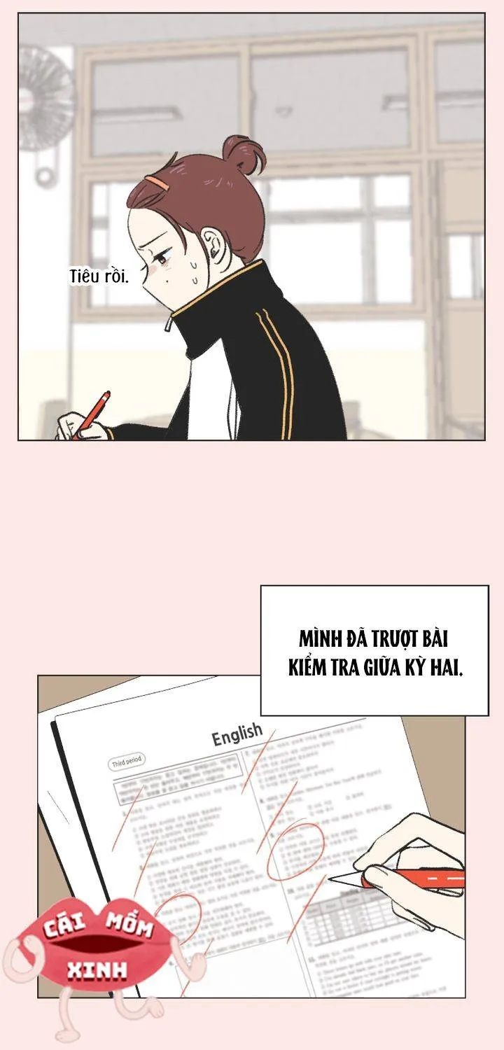 Thanh Xuân Ngọt Ngào Chapter 13 - Trang 20
