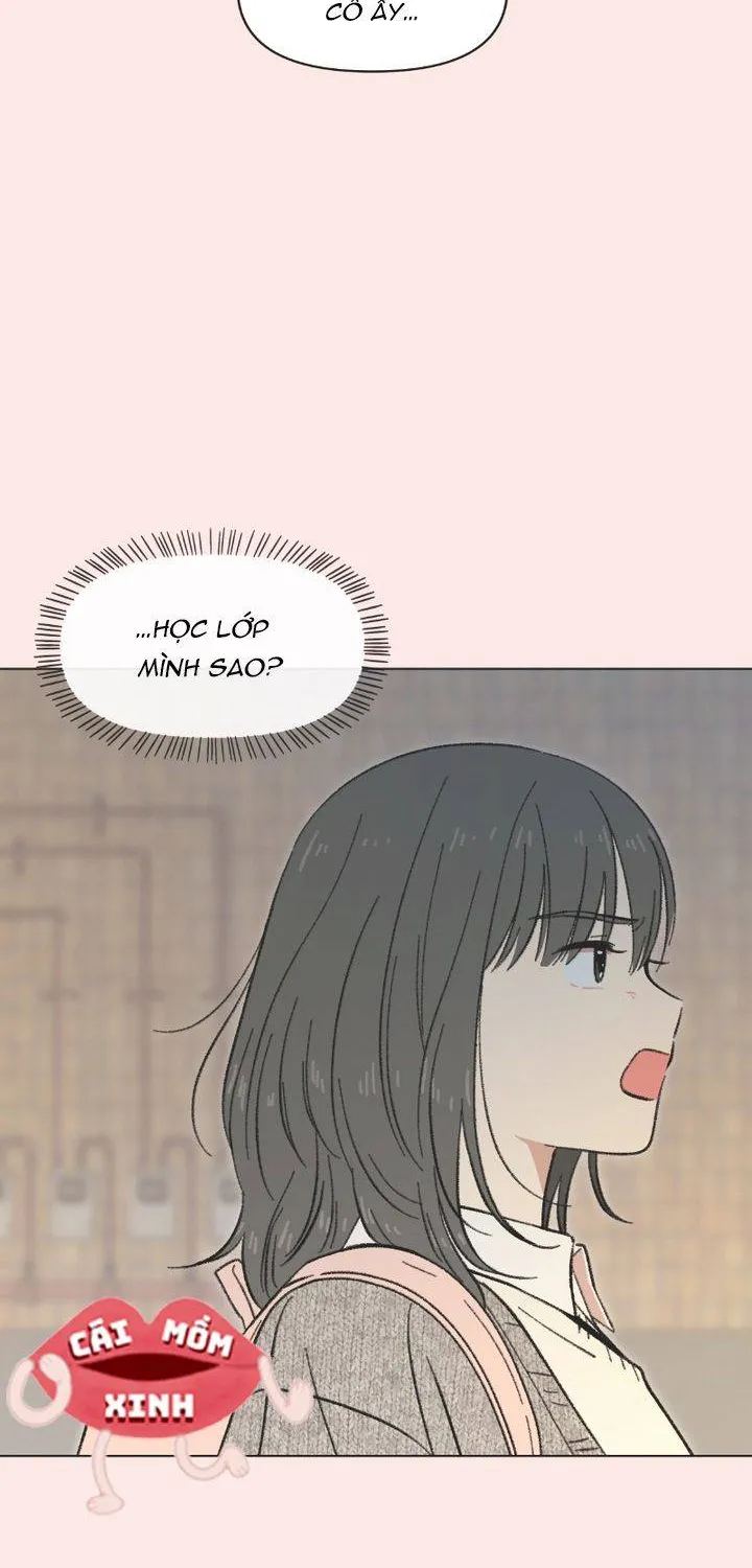 Thanh Xuân Ngọt Ngào Chapter 15 - Trang 14