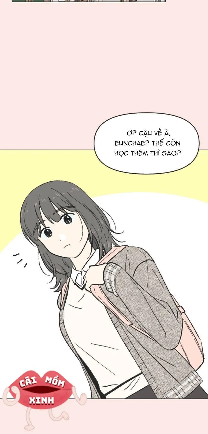 Thanh Xuân Ngọt Ngào Chapter 15 - Trang 3