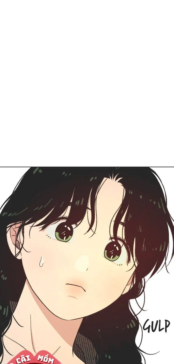 Thanh Xuân Ngọt Ngào Chapter 18 - Trang 2