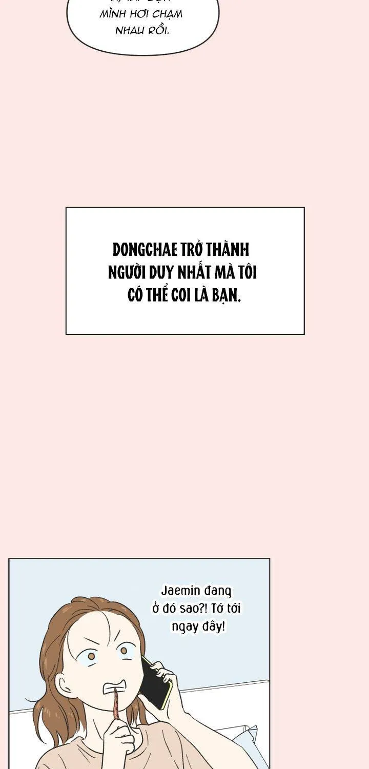 Thanh Xuân Ngọt Ngào Chapter 18 - Trang 20