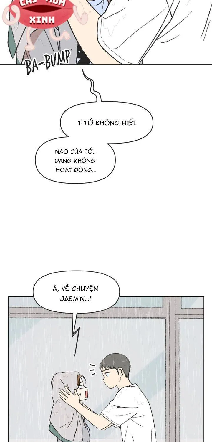 Thanh Xuân Ngọt Ngào Chapter 19 - Trang 11