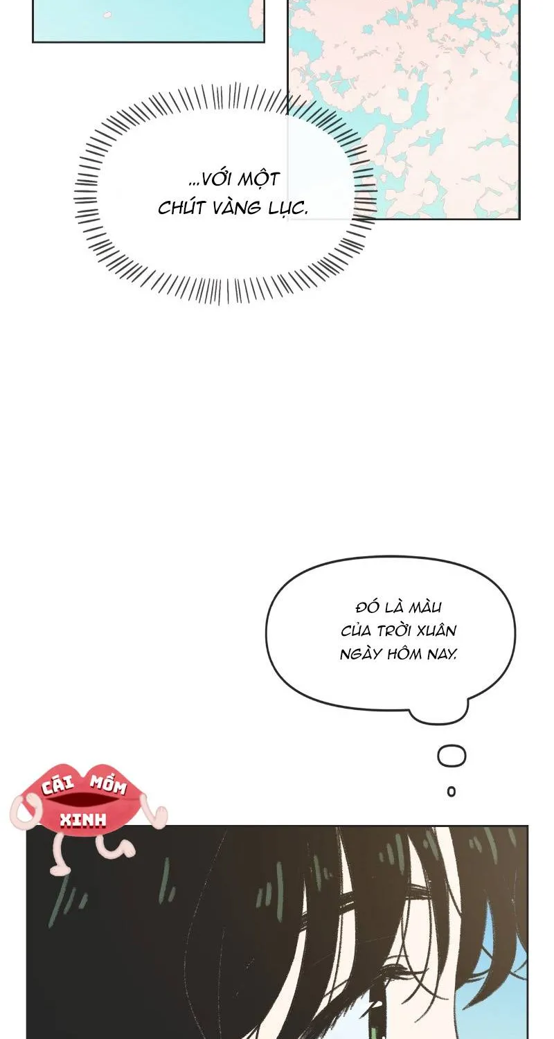 Thanh Xuân Ngọt Ngào Chapter 2 - Trang 3