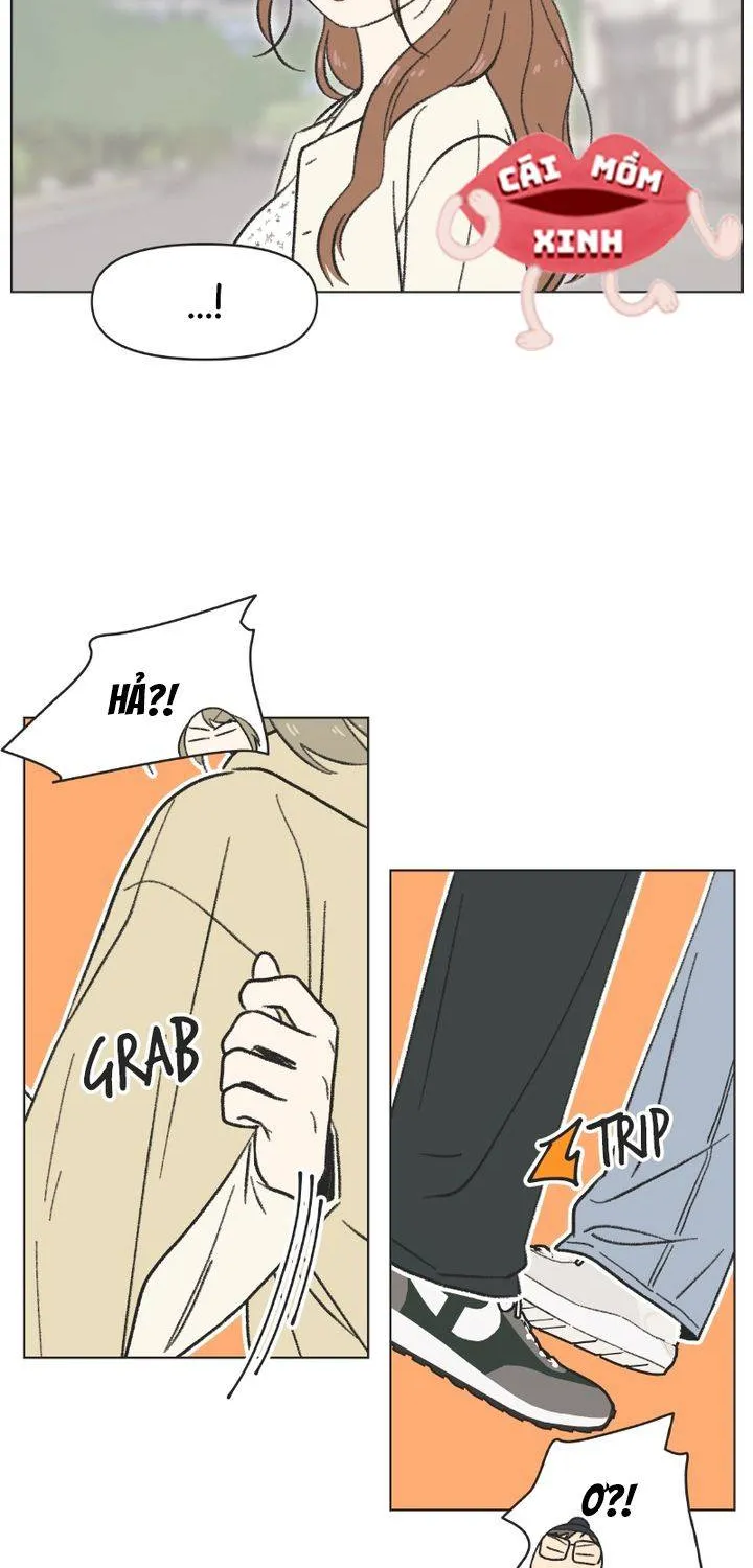 Thanh Xuân Ngọt Ngào Chapter 22 - Trang 13
