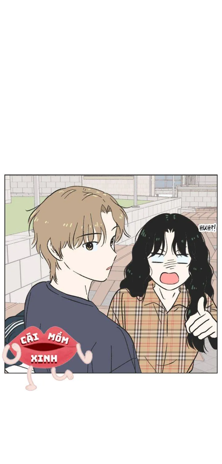 Thanh Xuân Ngọt Ngào Chapter 22 - Trang 2