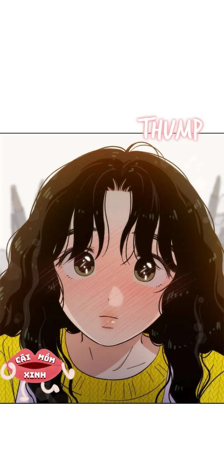 Thanh Xuân Ngọt Ngào Chapter 26 - Trang 12