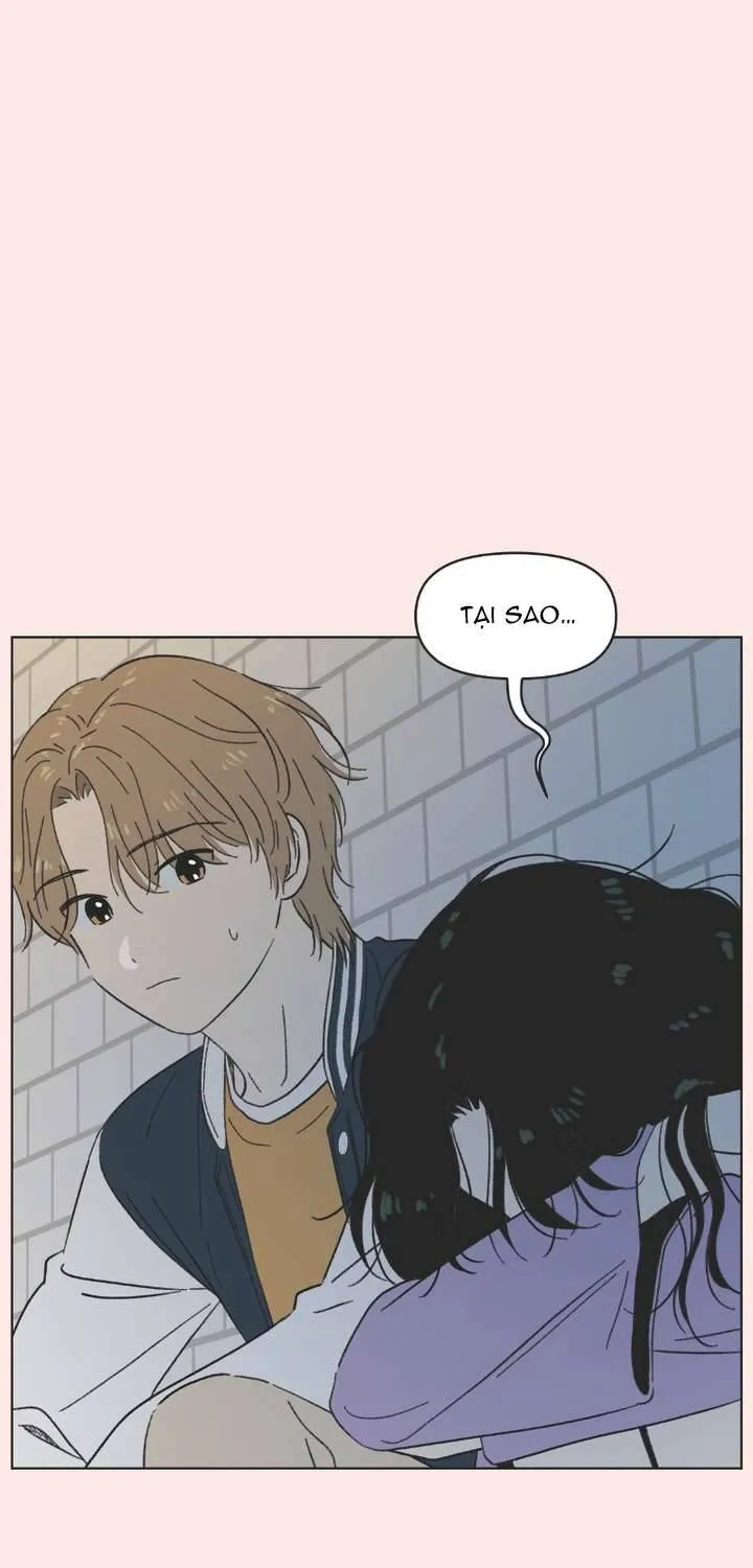 Thanh Xuân Ngọt Ngào Chapter 26 - Trang 2