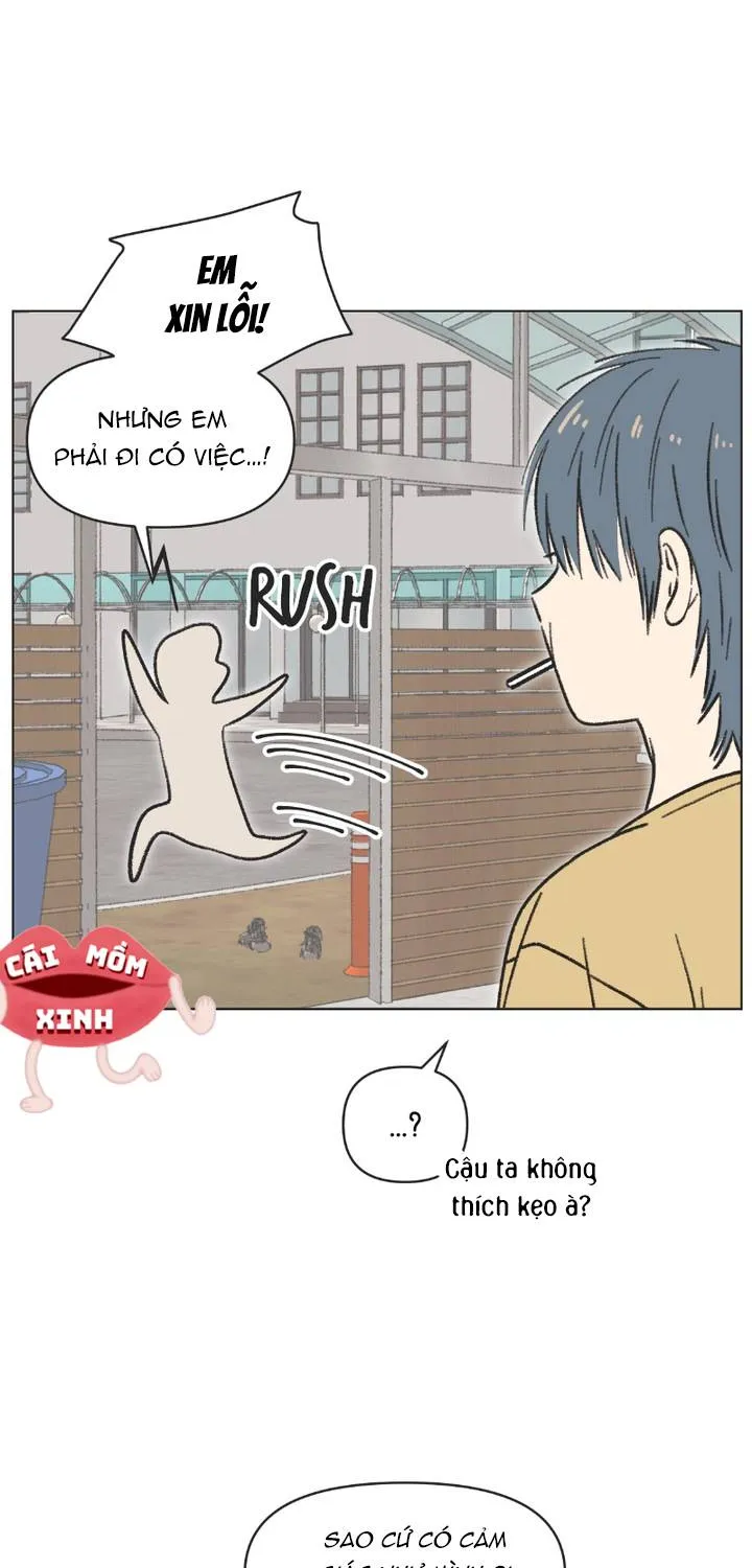 Thanh Xuân Ngọt Ngào Chapter 28 - Trang 17