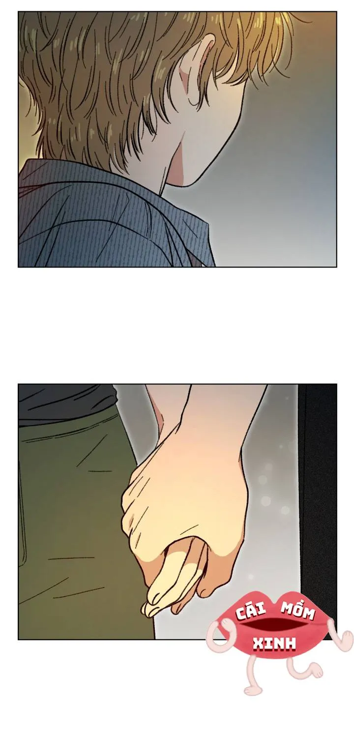 Thanh Xuân Ngọt Ngào Chapter 30 - Trang 35