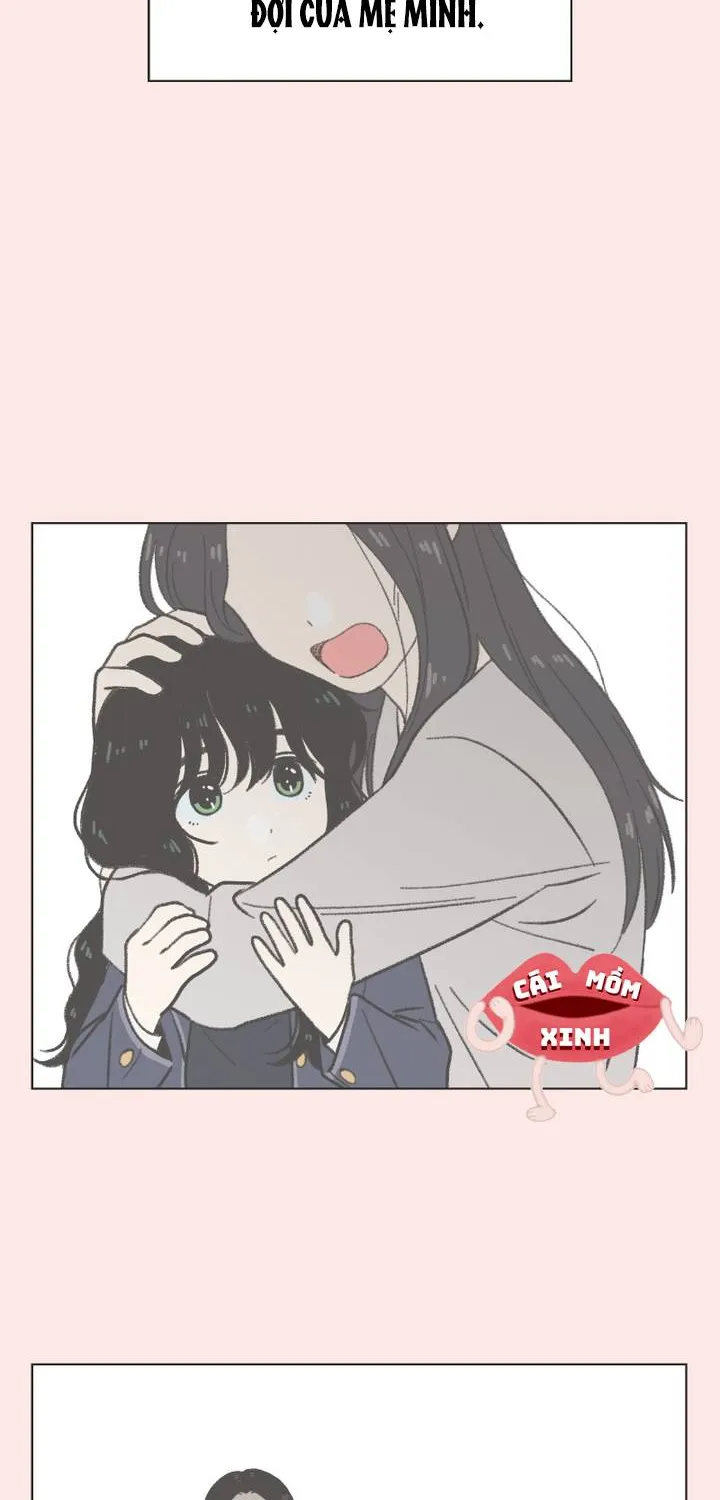 Thanh Xuân Ngọt Ngào Chapter 31 - Trang 19