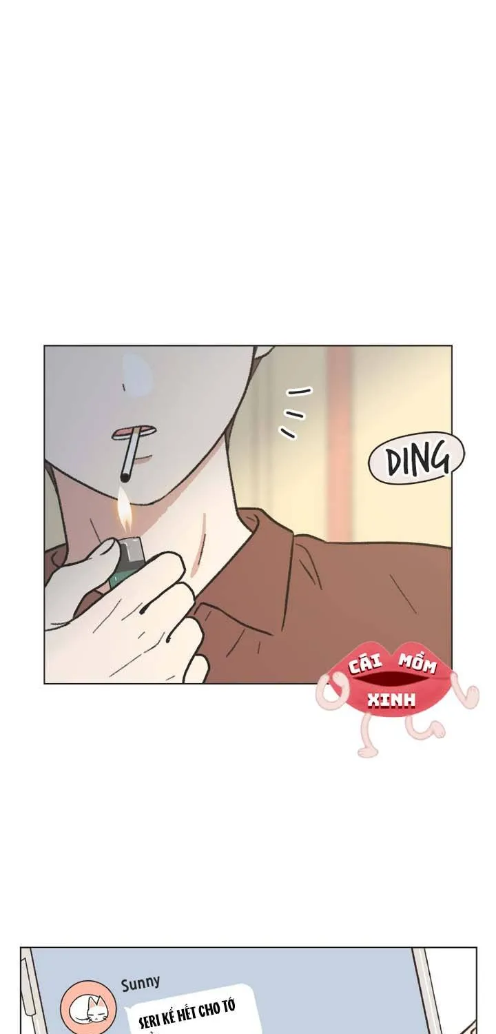 Thanh Xuân Ngọt Ngào Chapter 33 - Trang 2