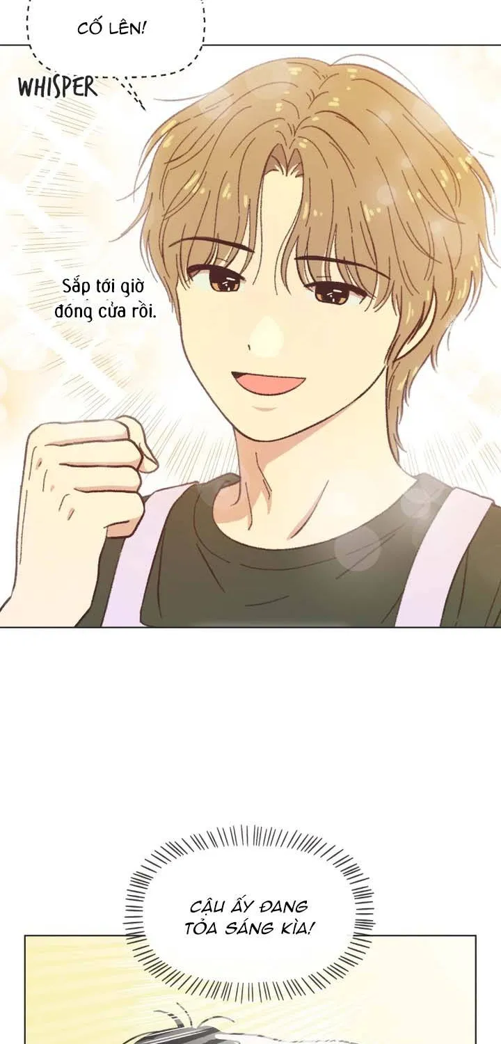 Thanh Xuân Ngọt Ngào Chapter 33 - Trang 31