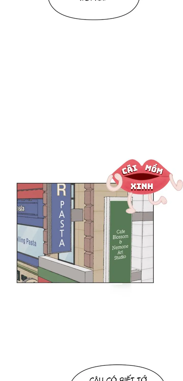Thanh Xuân Ngọt Ngào Chapter 34 - Trang 5