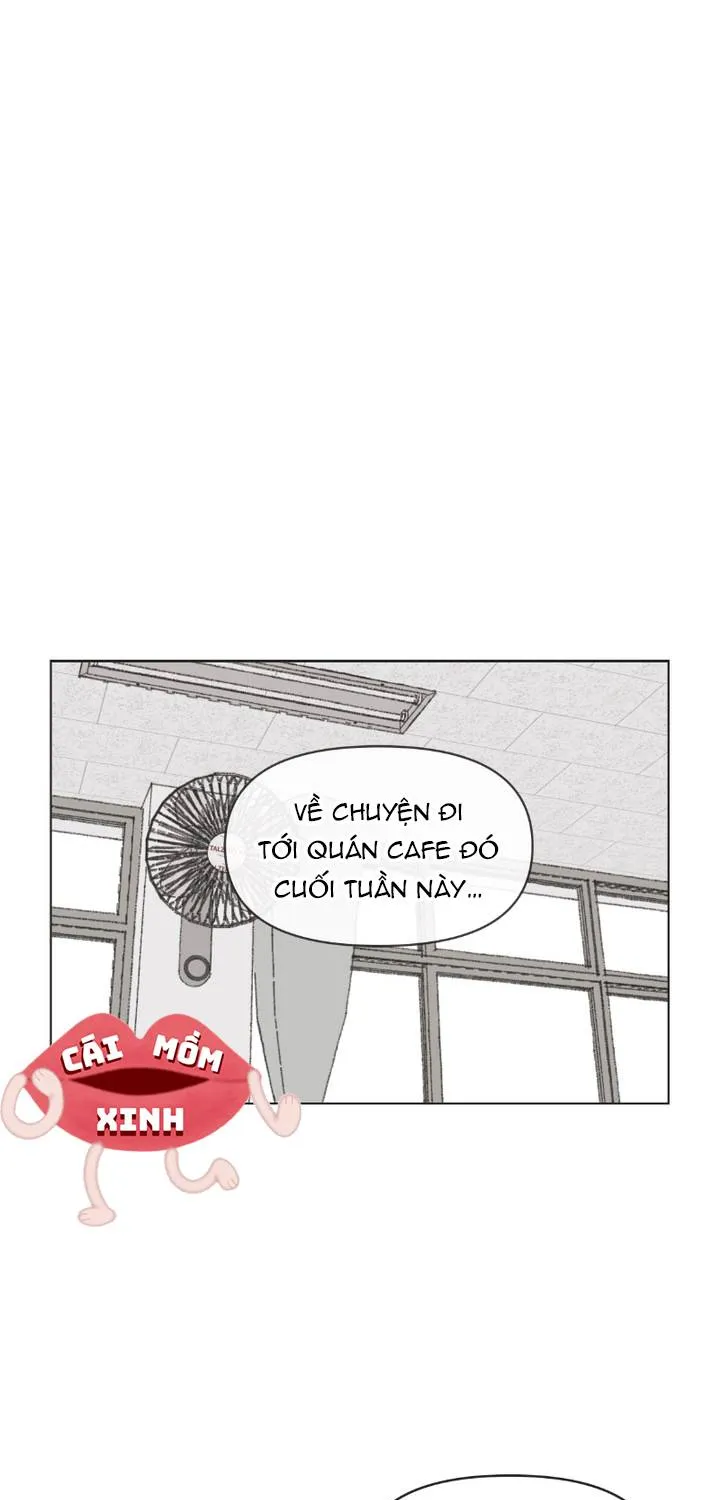 Thanh Xuân Ngọt Ngào Chapter 35 - Trang 2