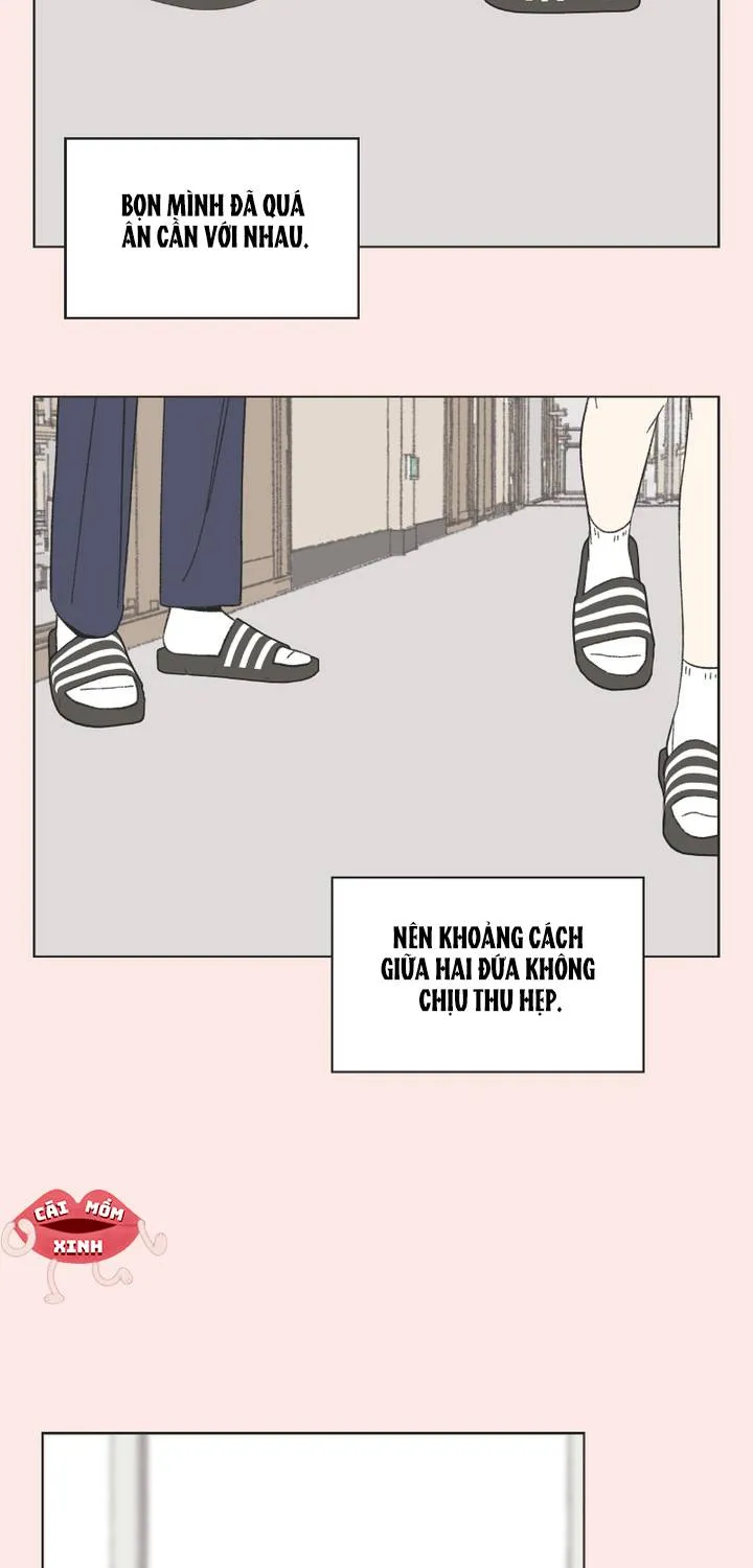 Thanh Xuân Ngọt Ngào Chapter 36 - Trang 34