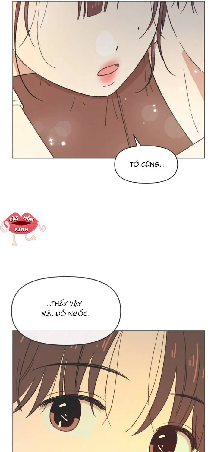Thanh Xuân Ngọt Ngào Chapter 38 - Trang 37