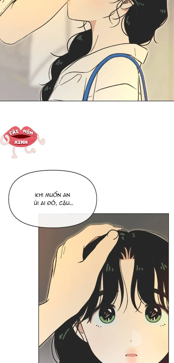 Thanh Xuân Ngọt Ngào Chapter 39 - Trang 24