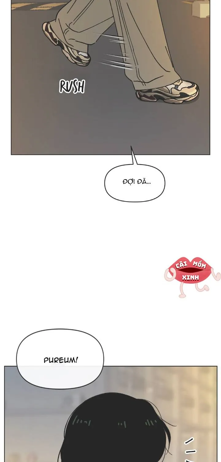 Thanh Xuân Ngọt Ngào Chapter 39 - Trang 5