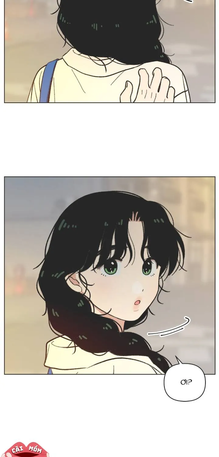 Thanh Xuân Ngọt Ngào Chapter 39 - Trang 6
