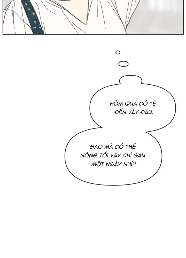 Thanh Xuân Ngọt Ngào Chapter 40 - Trang 29