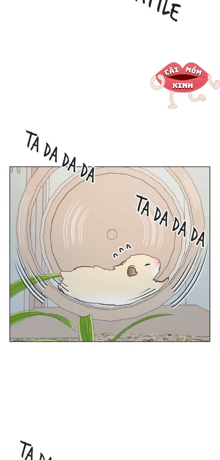 Thanh Xuân Ngọt Ngào Chapter 40 - Trang 3