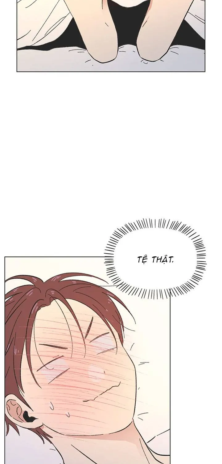 Thanh Xuân Ngọt Ngào Chapter 42 - Trang 3