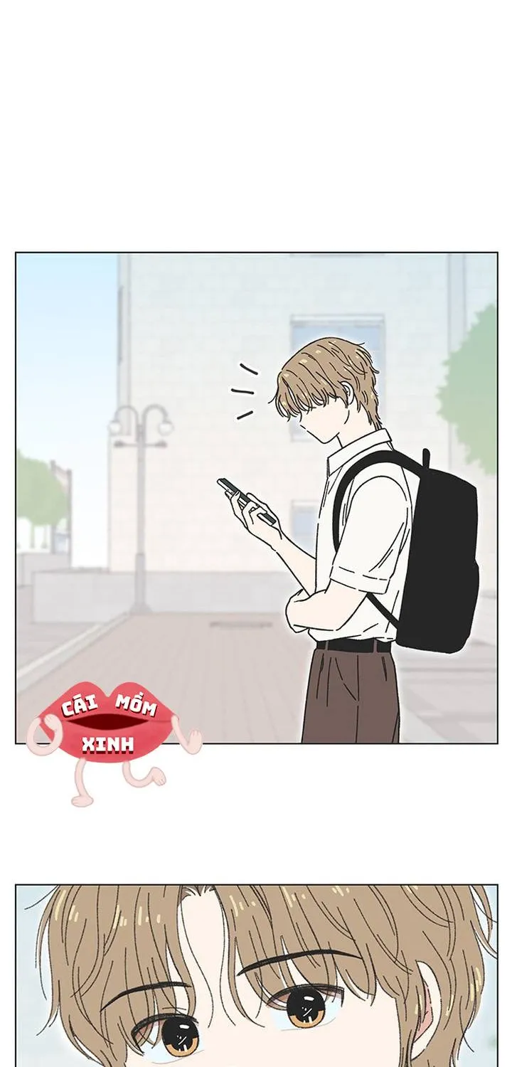 Thanh Xuân Ngọt Ngào Chapter 44 - Trang 5