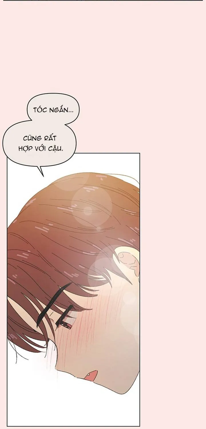 Thanh Xuân Ngọt Ngào Chapter 45 - Trang 41