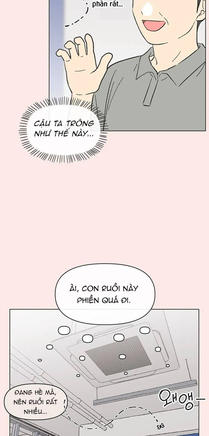 Thanh Xuân Ngọt Ngào Chapter 47 - Trang 19