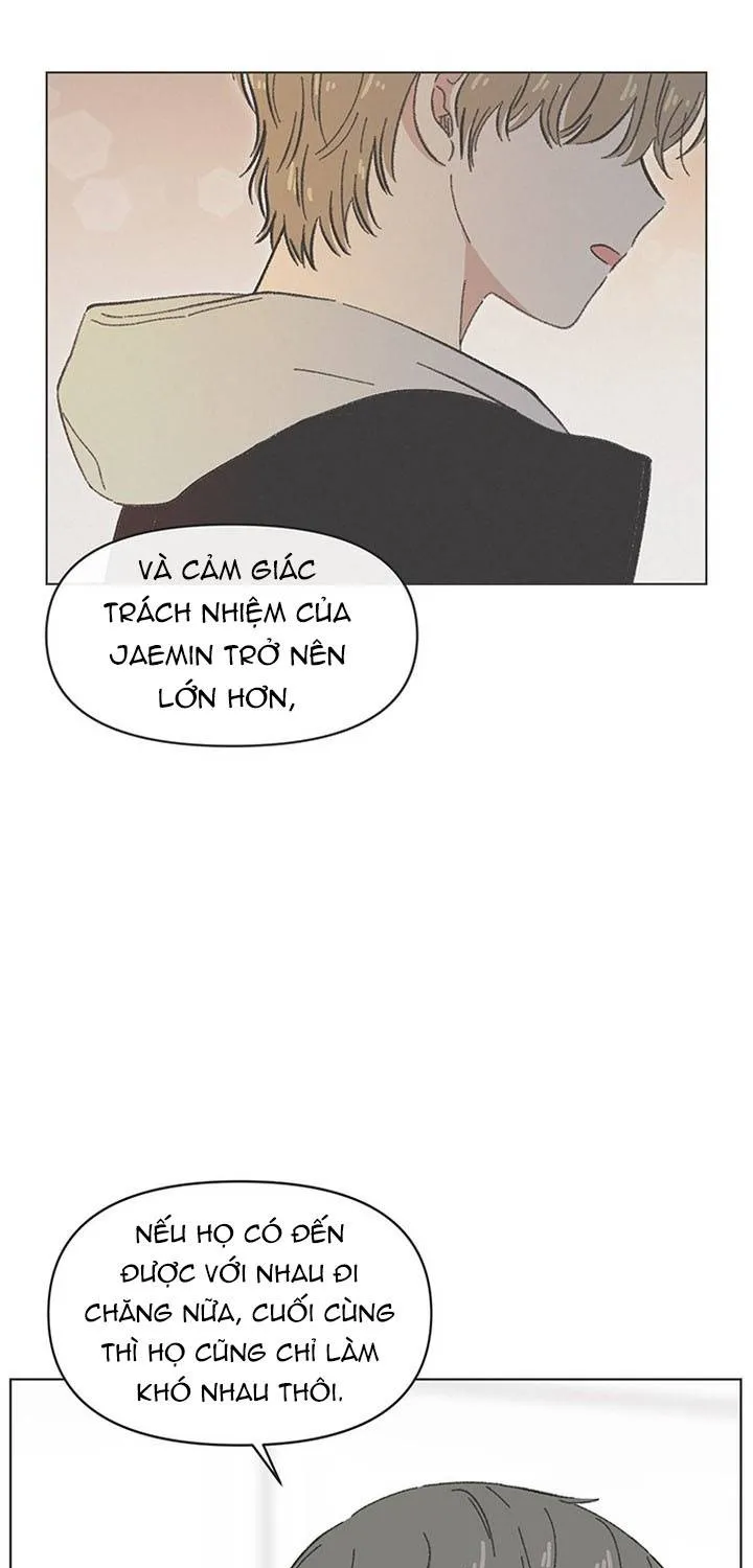 Thanh Xuân Ngọt Ngào Chapter 48 - Trang 15