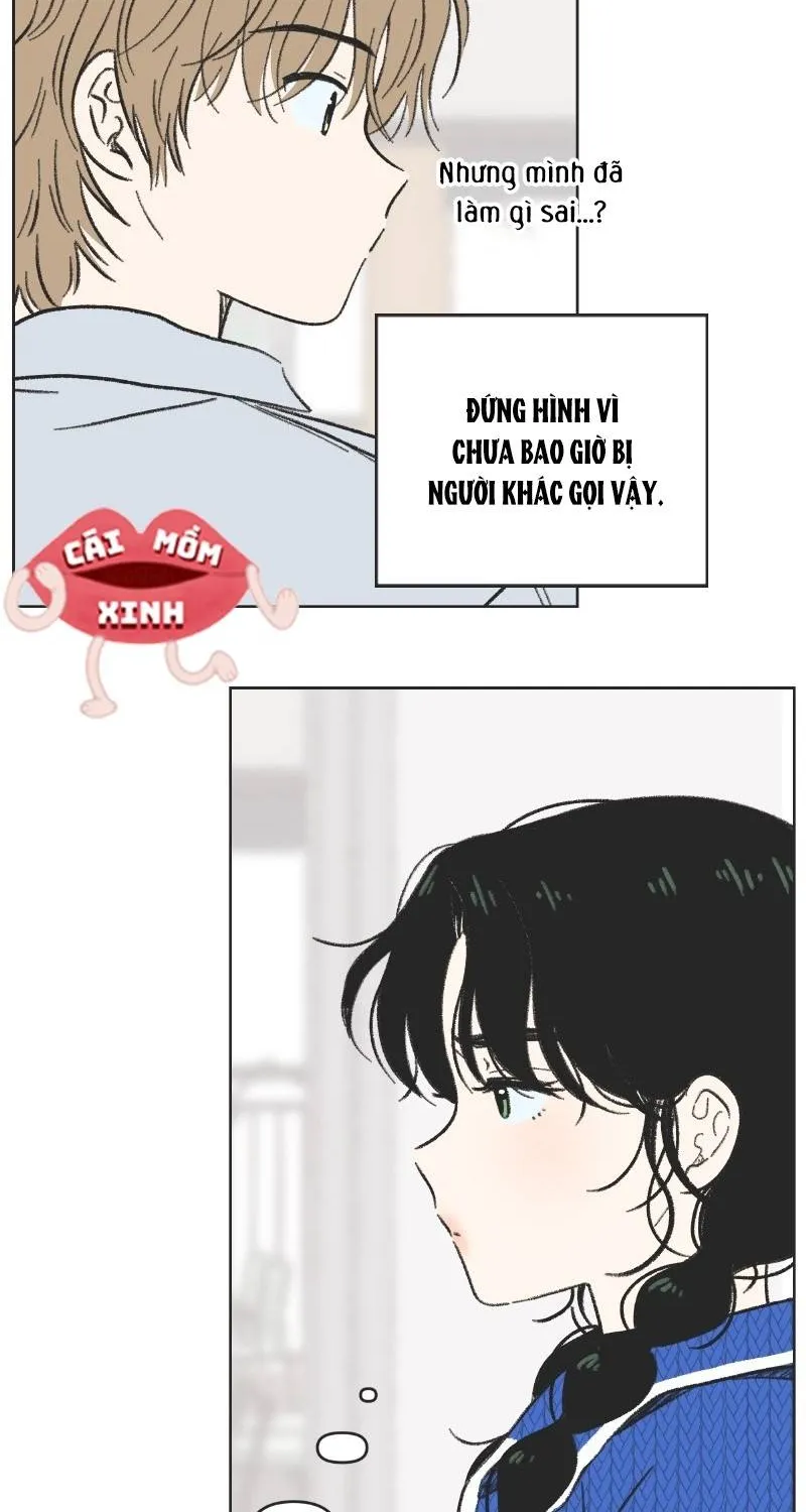 Thanh Xuân Ngọt Ngào Chapter 5 - Trang 5
