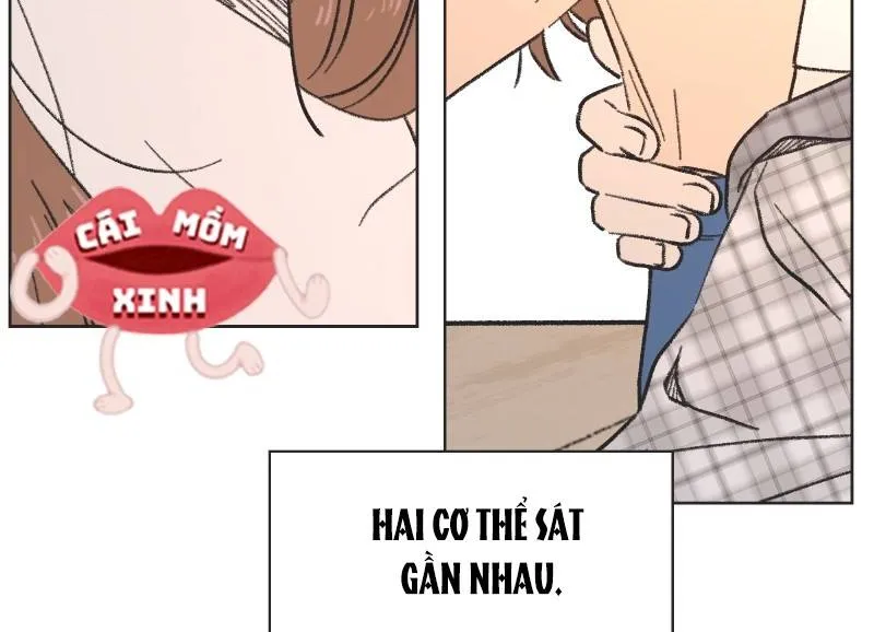 Thanh Xuân Ngọt Ngào Chapter 6 - Trang 8