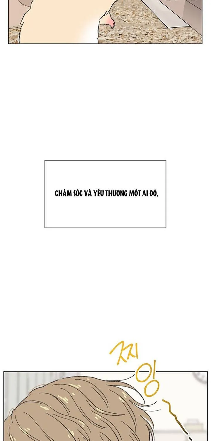 Thanh Xuân Ngọt Ngào Chapter 60 - Trang 13