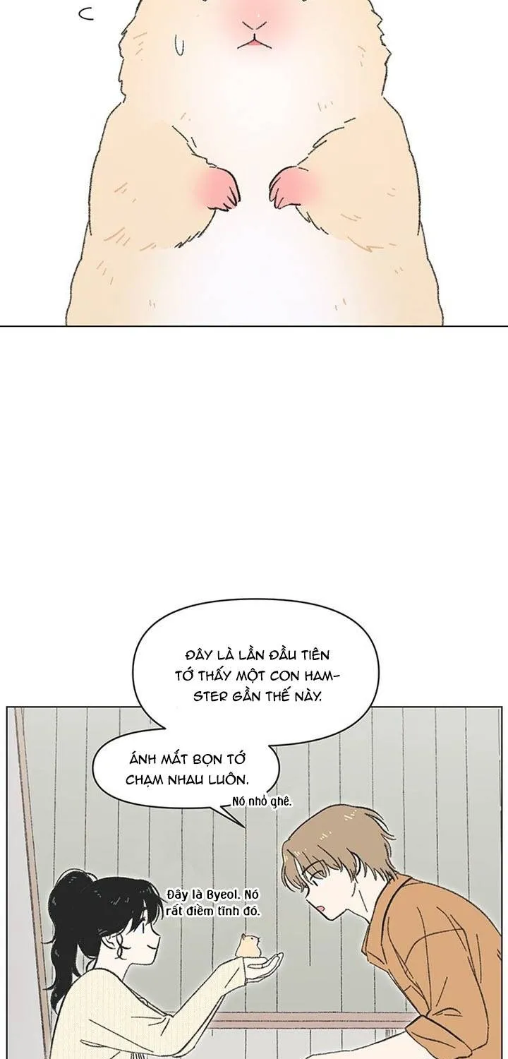 Thanh Xuân Ngọt Ngào Chapter 60 - Trang 4