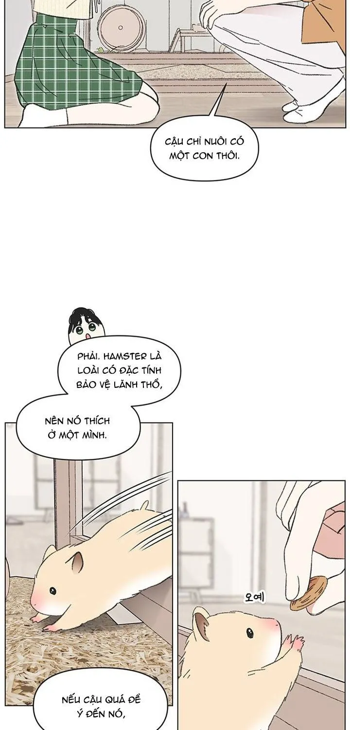 Thanh Xuân Ngọt Ngào Chapter 60 - Trang 5
