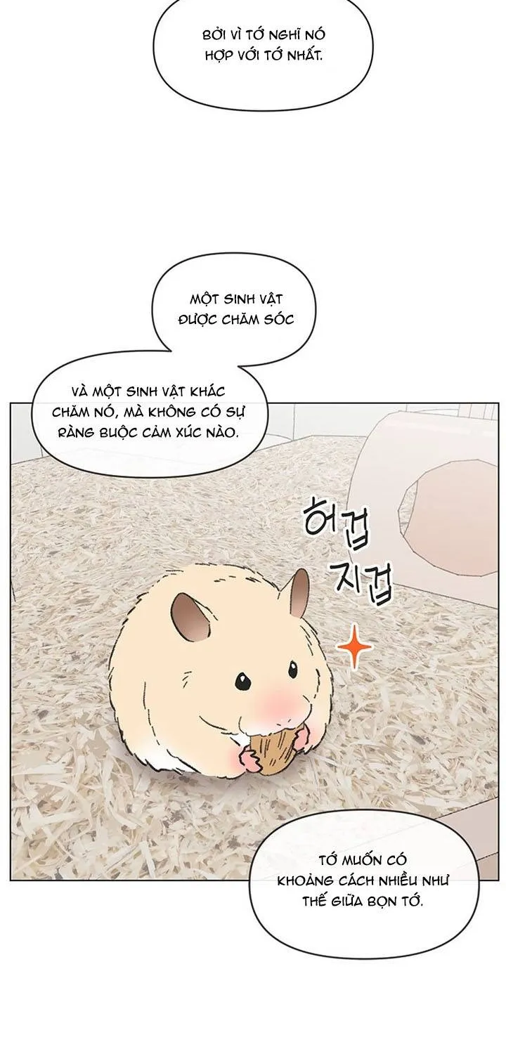 Thanh Xuân Ngọt Ngào Chapter 60 - Trang 7