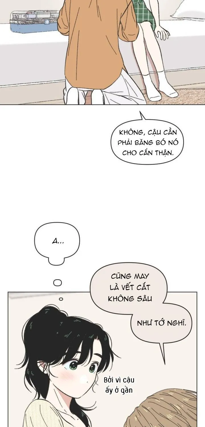 Thanh Xuân Ngọt Ngào Chapter 61 - Trang 24