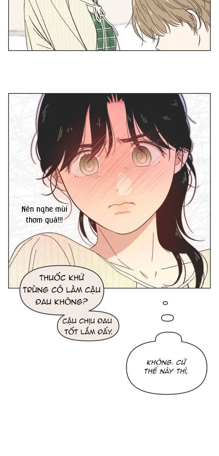Thanh Xuân Ngọt Ngào Chapter 61 - Trang 25