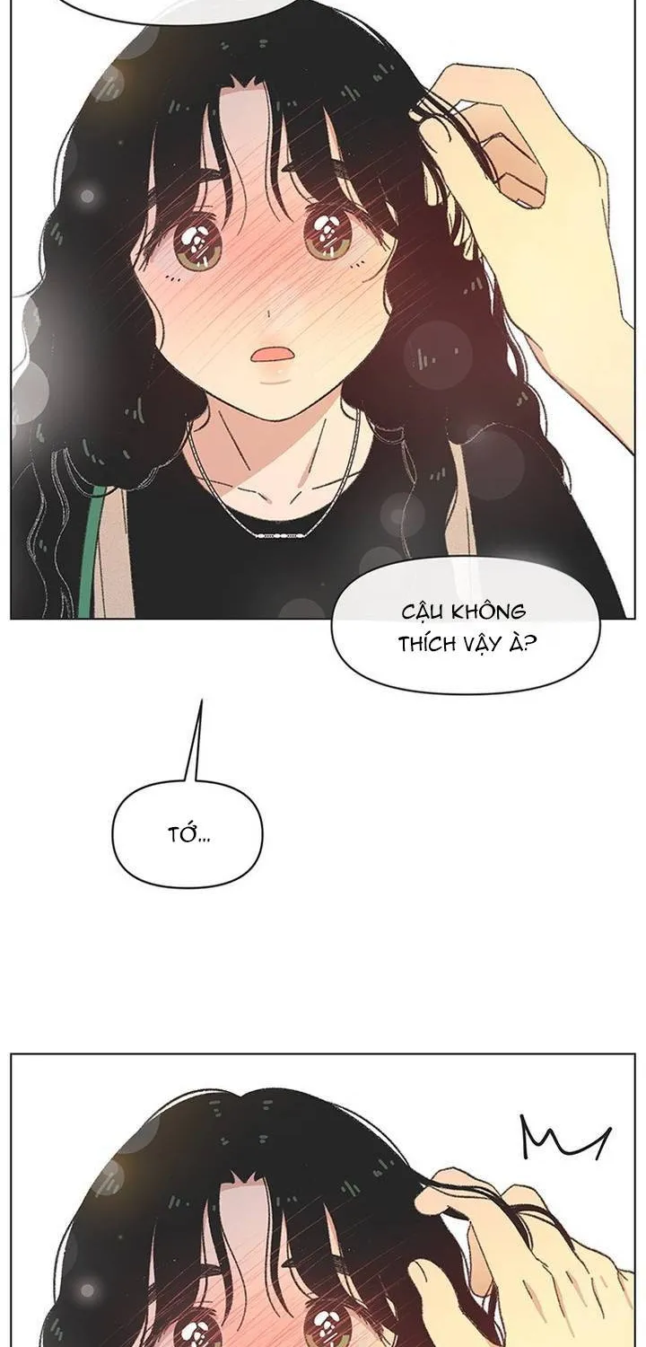 Thanh Xuân Ngọt Ngào Chapter 64 - Trang 33