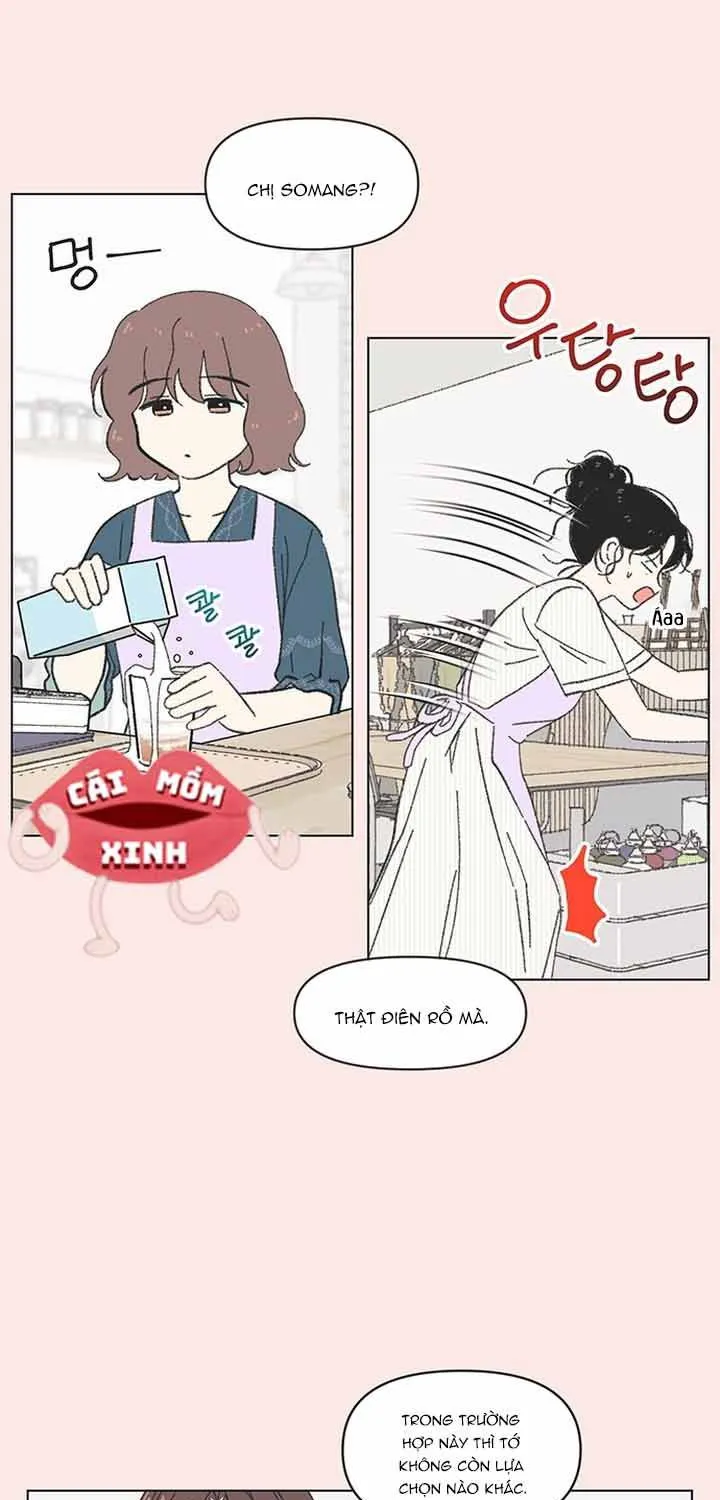 Thanh Xuân Ngọt Ngào Chapter 65 - Trang 32