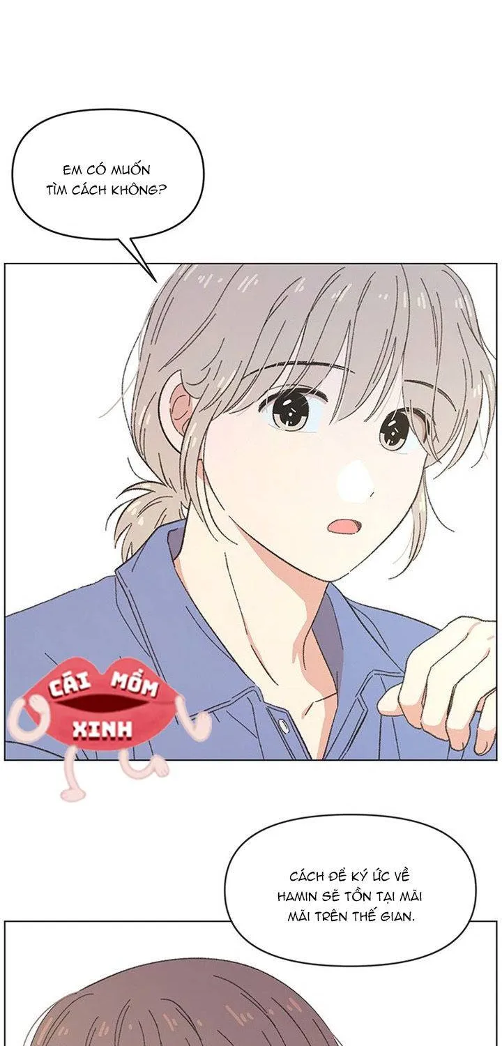 Thanh Xuân Ngọt Ngào Chapter 73 - Trang 24