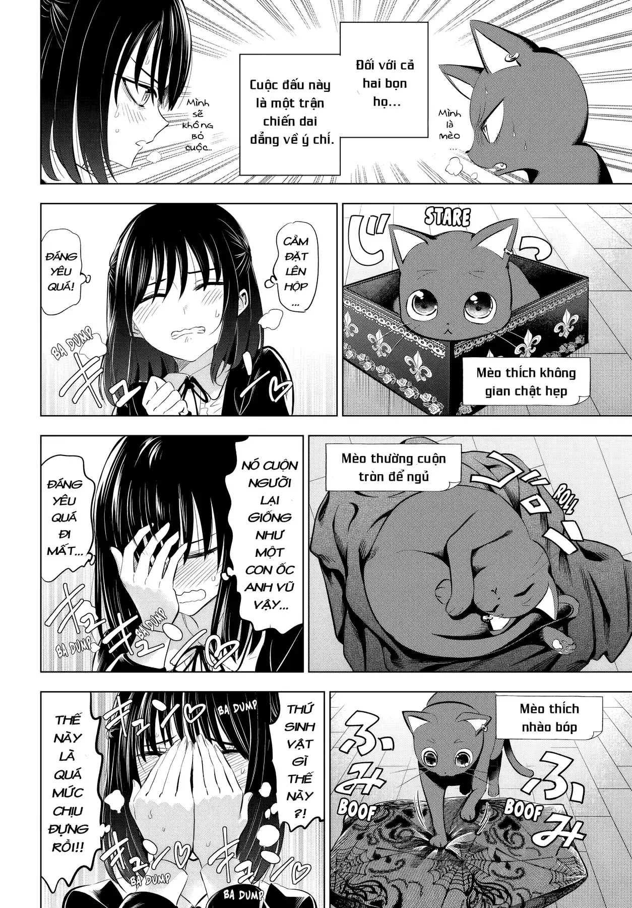 The Classroom Of A Black Cat And A Witch Chapter 61 - Trang 19