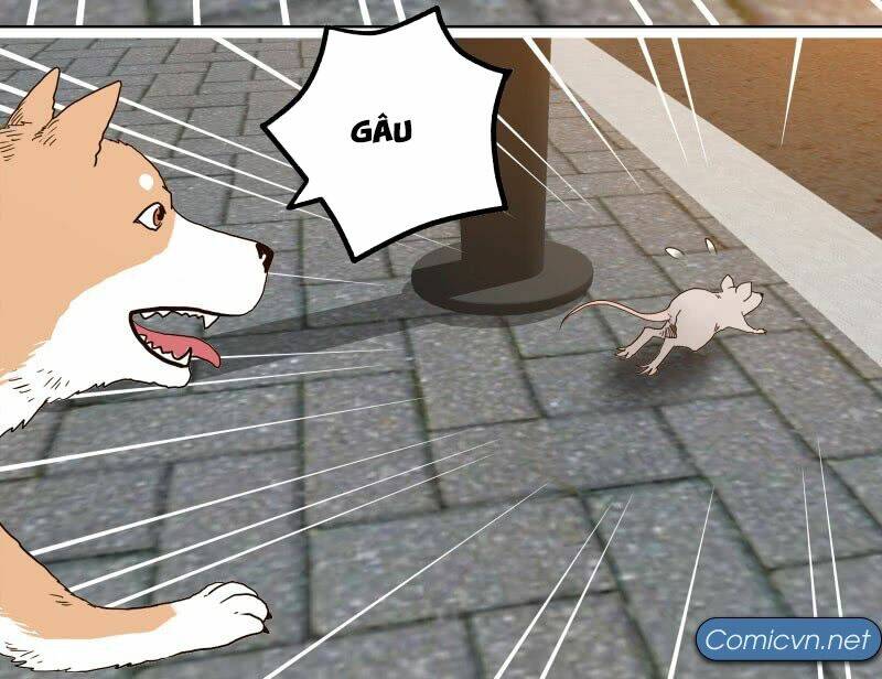 Thế Giới Cận Tử Chapter 1 - Trang 8